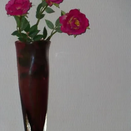 Quiet Duplex House Downtown Apartamento Bordéus