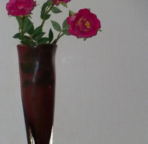 Quiet Duplex House Downtown Lägenhet Bordeaux